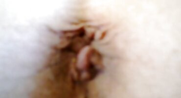 Ohol lesbian čine cuties sudjelovati u domaci sex filmovi gangbang