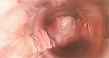 Kratkodlaka djevojka domaci porno glumci masturbira kod kuće, leži na podu