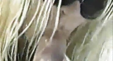 Mučitelj joj domači porno film je vezao dupe i namjerava ga mučiti analni na svaki mogući način